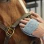 Preview: Epona; Gummistriegel - beige